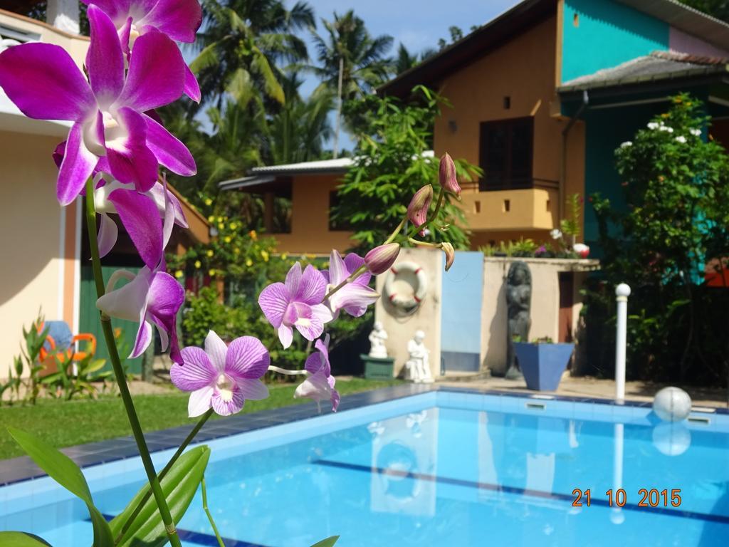 Hilda Guest House Hikkaduwa Extérieur photo