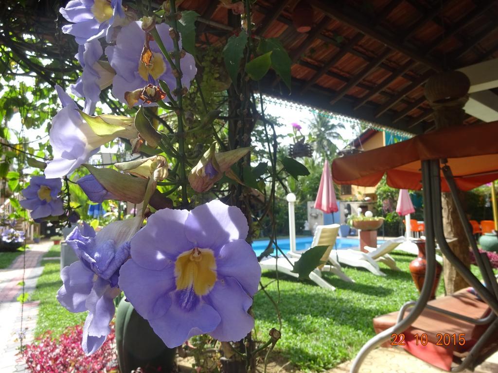 Hilda Guest House Hikkaduwa Extérieur photo