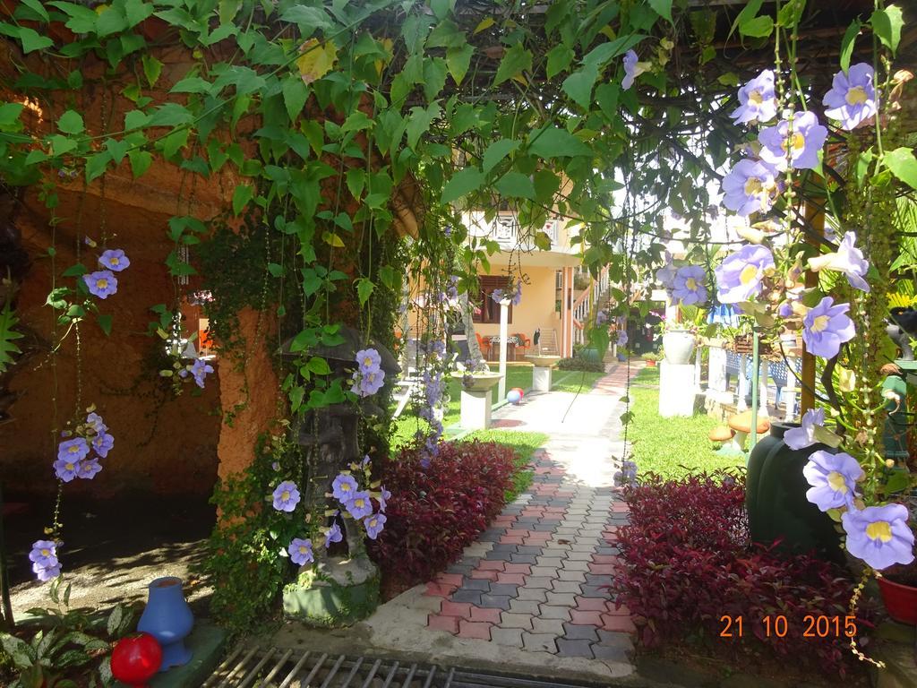 Hilda Guest House Hikkaduwa Extérieur photo