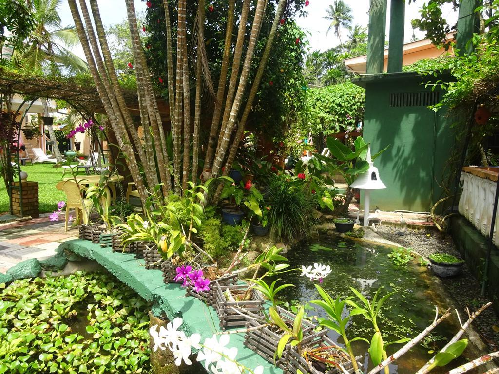 Hilda Guest House Hikkaduwa Extérieur photo